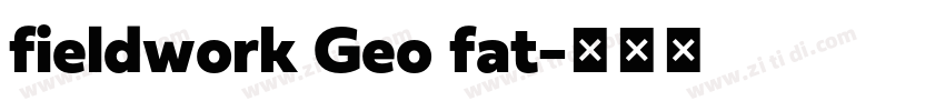 fieldwork Geo fat字体转换